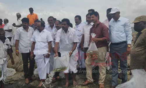 6 லட்சம் மீன் குஞ்சுகள் மேட்டூர் அணையில் விடப்பட்டன