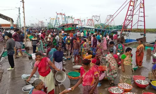 எதிர்பார்த்த அளவு மீன்கள் கிடைக்காமல் மீனவர்கள் ஏமாற்றம்