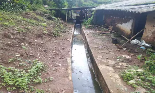 கொளப்பள்ளி அரசு தேயிலை தோட்டத்தில் மூடி இல்லாத சாக்கடை கால்வாயால்  நோய் பரவும் அபாயம்-உரிய நடவடிக்கை எடுக்க பொதுமக்கள் வலியுறுத்தல்