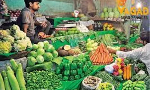 தர்மபுரி மார்க்கெட்டுக்கு வரத்து அதிகரிப்பால் இஞ்சி கிலோ ரூ.280-க்கு விற்பனை