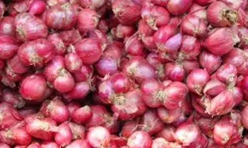 ஒரு கிலோ சின்னவெங்காயம் ரூ.120-க்கு விற்பனை