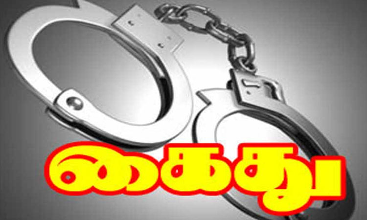 சென்னை திருமங்கலத்தில் ஐ.டி. பெண் ஊழியர் அருகில் நிர்வாணமாக படுத்து தூங்கியவர் கைது