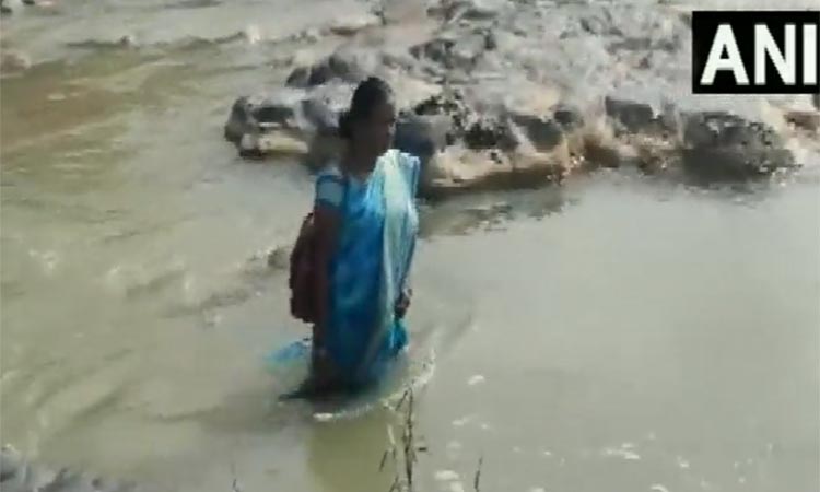 2 ஆறுகளை கடந்து சென்று கல்வி கற்பிக்கும் ஆசிரியைக்கு குவியும் பாராட்டு!