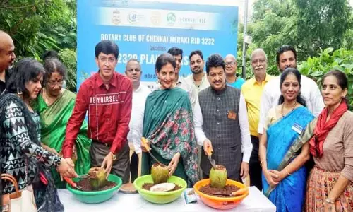 சென்னை மாநகராட்சி: 32 ஆயிரம் மரக்கன்றுகள் உருவாக்கும் பணி