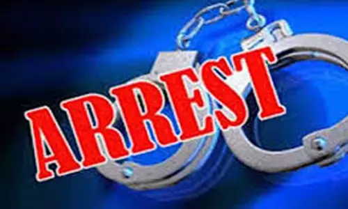 வாடகைக்கு வீடு எடுத்து விபசாரம் நடத்திய பெண் உள்பட 2 பேர் கைது