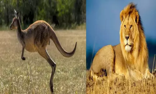 அறியாத தகவல்கள் தெரியாத விஷயங்கள்!.. அறியாத தகவல்கள் தெரியாத விஷயங்கள்!..