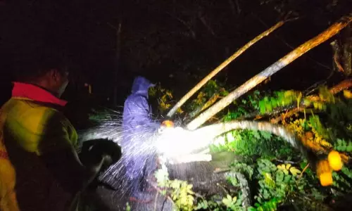 நீலகிரியில் தொடர் மழை: 2 வீடுகள் இடிந்து விழுந்தன