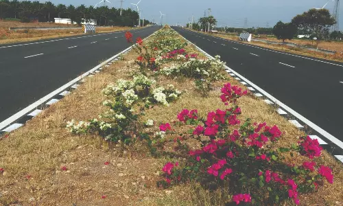 வண்ணமயமாகும் சாலை மையத்தடுப்புகள்