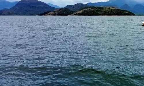 அமராவதி அணையின் நீர்மட்டம்ஒரே நாளில் 2 அடி உயர்வு