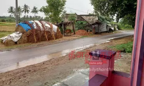 சாலையை ஆக்கிரமித்து அமைத்த மாட்டுக்கொட்டகையால் இடையூறு