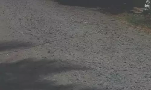 சாலைப்பணிகளை விரைந்து முடிக்க கோரிக்கை