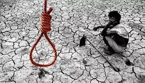 மரத்வாடா மண்டலத்தில் நடப்பு ஆண்டில் 483 விவசாயிகள் தற்கொலை - வருவாய் துறை அதிர்ச்சி தகவல் மரத்வாடா மண்டலத்தில் நடப்பு ஆண்டில் 483 விவசாயிகள் தற்கொலை - வருவாய் துறை அதிர்ச்சி தகவல்