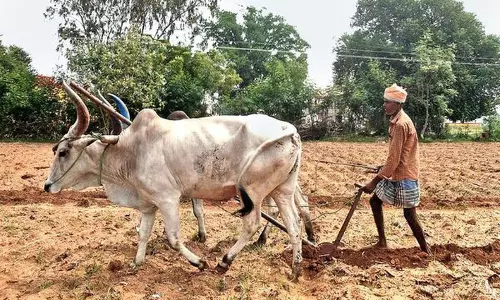 திருமூர்த்தி அணையில் வண்டல் மண் எடுக்கும் அளவை அதிகப்படுத்த வேண்டும்