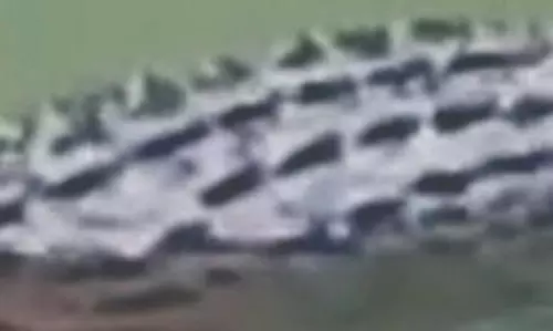 அமராவதி ஆற்றில் உலா வரும் முதலைகள் மனிதர்களை கொல்கிறதா?