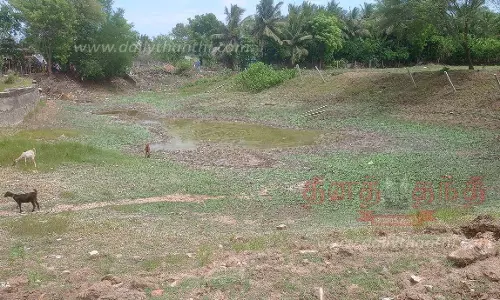 மிளகு குளத்தை தூர்வார வேண்டும்