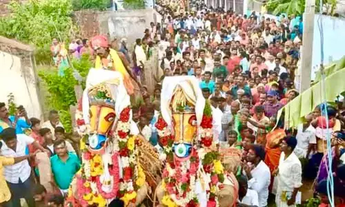 கொட்டாம்பட்டி அருகே அய்யனார் கோவில் புரவி எடுப்பு திருவிழா