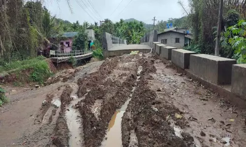 கூடலூர் மங்குழியில் ரூ.1 கோடியில் கட்டப்பட்ட புதிய சிமெண்டு பாலம்-சாலை வசதி இல்லாததால் பயன்படுத்துவதில் சிக்கல்