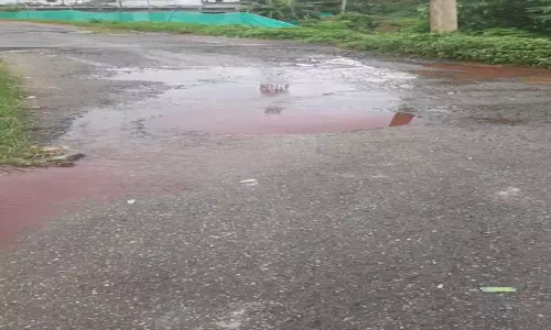 கூடலூாில் சாலையில் வழிந்தோடும் கழிவுநீரால் நோய் பரவும் அபாயம்-பொதுமக்கள் அவதி