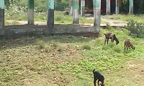 பொது மயானத்தை மேம்படுத்த வேண்டும்