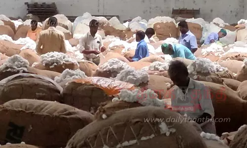 ரூ.2½ கோடிக்கு பருத்தி ஏலம்