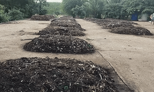 திடக்கழிவு மேலாண்மை பூங்கா திறப்பு