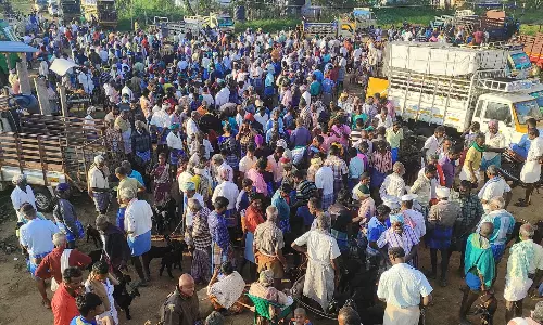 அய்யலூர் சந்தையில்  ஆடுகள் விற்பனை அமோகம்