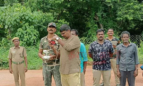 புலி நடமாட்டத்தை அதிநவீன கேமரா மூலம் கண்காணிக்க முடிவு புலி நடமாட்டத்தை அதிநவீன கேமரா மூலம் கண்காணிக்க முடிவு