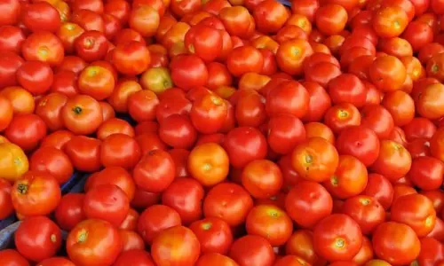 தக்காளி விலை மீண்டும் உயர்வு தக்காளி விலை மீண்டும் உயர்வு