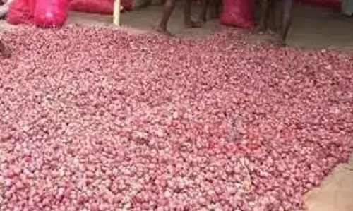 உழவர் சந்தைகளுக்கு வரத்து அதிகரிப்பு: சின்ன வெங்காயம் கிலோ ரூ.84-க்கு விற்பனை