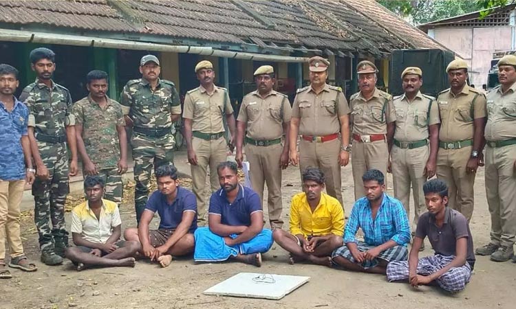 வனப்பகுதியில் புலி இறந்து கிடந்த வழக்கு - சிறுவன் உள்பட 7 பேர் அதிரடி கைது