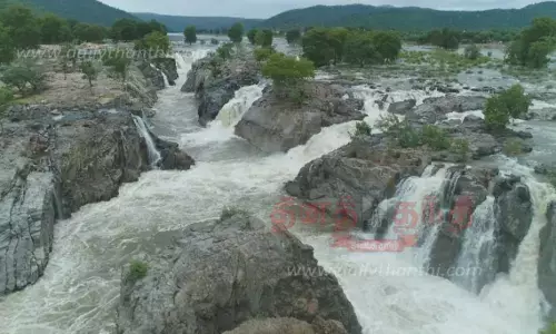 ஒகேனக்கல்லில் சுற்றுலாப் பயணிகளுக்கு தடை..!