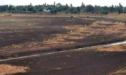 மல்லல் கண்மாயில் வைகை தண்ணீரை நிரப்ப கோரிக்கை