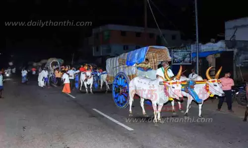 திருக்கோலநாதர் கோவிலில் ஆடிப்படையல் விழா