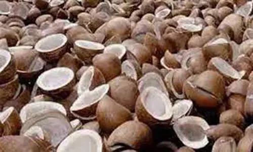 ஒழுங்குமுறை விற்பனைக்கூடங்களில் விவசாய விளைபொருட்கள் ஏலம்