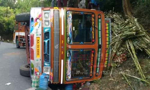 கடம்பூர் அருகே சாலையோரம் லாரி கவிழ்ந்து விபத்து