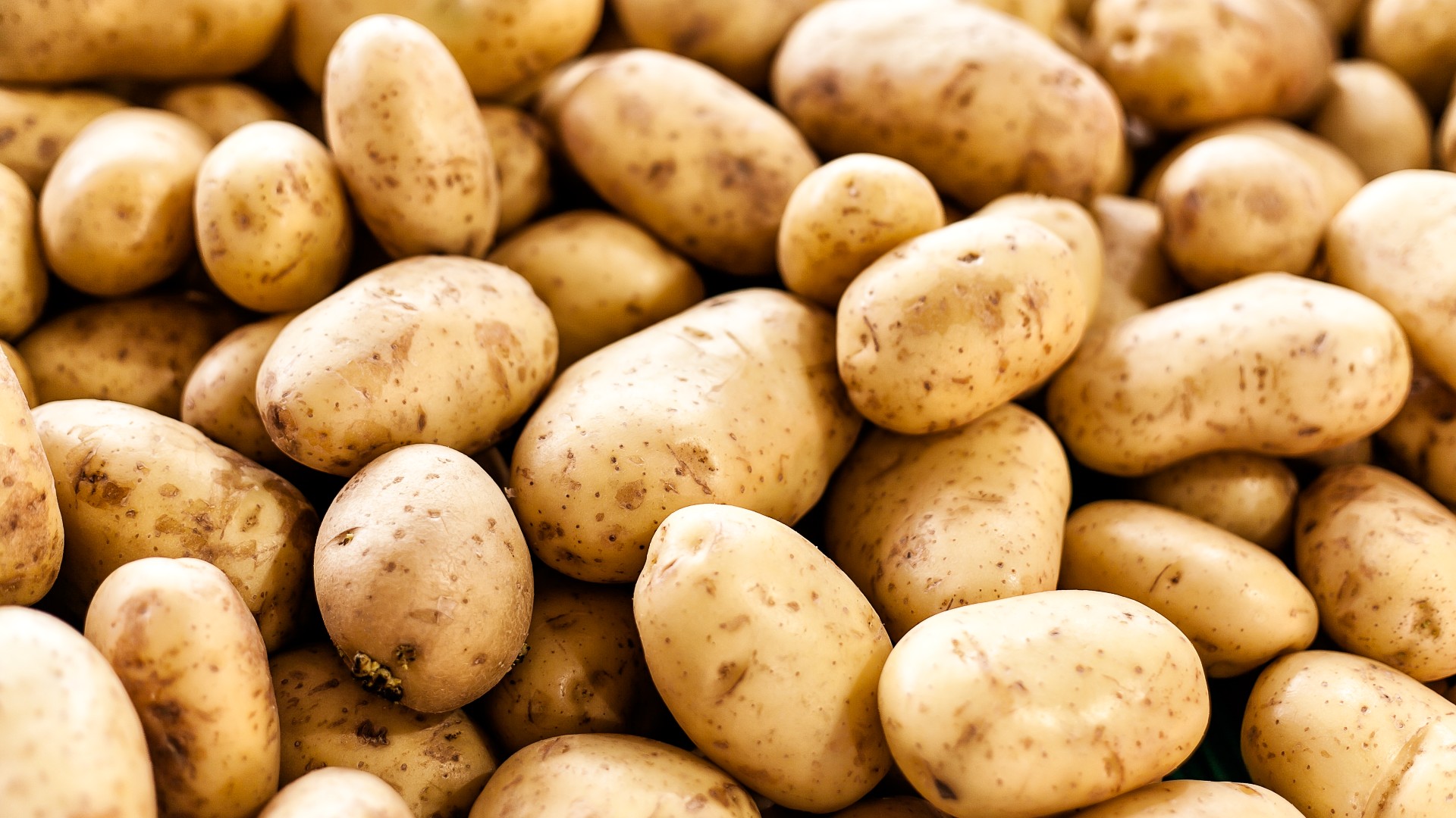 Potato rate hike கொடைக்கானலில் உருளைக்கிழங்கு விலை உயர்வு