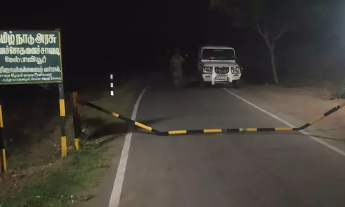 சோதனைச்சாவடியை சேதப்படுத்திய காட்டு யானைகள்