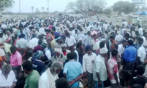 ஆடிப்பெருக்கை முன்னிட்டு வரத்து அதிகரிப்பால் விலை வீழ்ச்சி ஆடிப்பெருக்கை முன்னிட்டு வரத்து அதிகரிப்பால் விலை வீழ்ச்சி