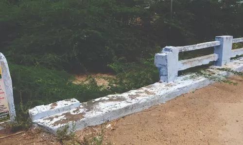 தடுப்புசுவர் இல்லாத பாலம் தடுப்புசுவர் இல்லாத பாலம்