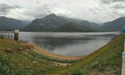 பழனி அணைகளில் வேகமாக குறையும் நீர்மட்டம் பழனி அணைகளில் வேகமாக குறையும் நீர்மட்டம்