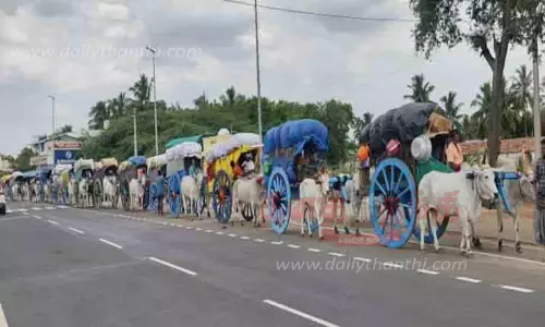 19 மாட்டு வண்டிகளில் சென்ற பக்தர்கள்