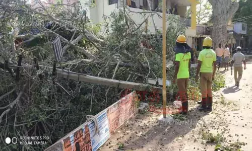 சூறைக்காற்றில் மரக்கிளை முறிந்து மின்கம்பம் மீது விழுந்தது