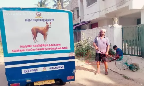 6 மாதங்களில் 439 தெருநாய்களுக்கு கருத்தடை சிகிச்சை