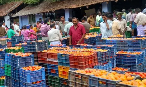தக்காளி விலை மீண்டும் உயர்வு