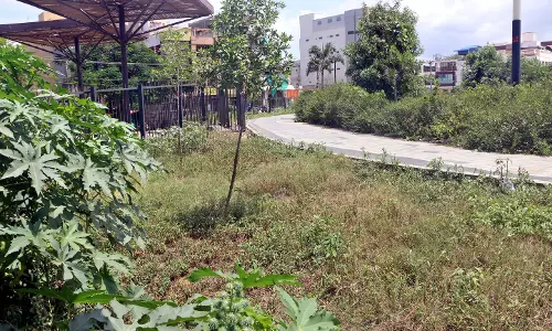 அழகிய ஸ்மார்ட் சிட்டி பூங்காக்களில் அவல நிலை மாறுமா?