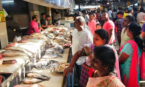 வேலூர் மார்க்கெட்டில் மீன்கள் விலை உயர்வு