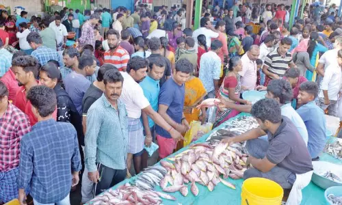 மீன் மார்க்கெட்டில் அலைமோதிய மக்கள் கூட்டம் மீன் மார்க்கெட்டில் அலைமோதிய மக்கள் கூட்டம்