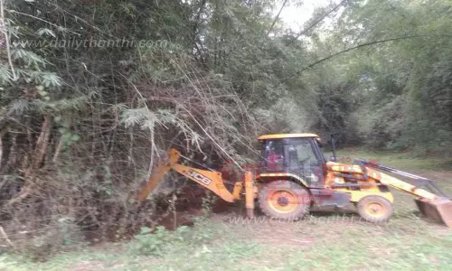 சாலையோர புதர்கள் அகற்றம்