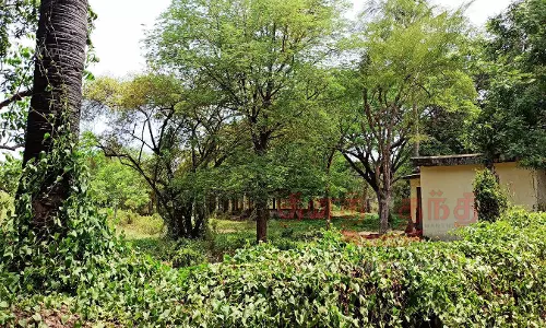 சமூக விரோதிகளின் கூடாரமாக மாறிவரும் சுங்கத்துறை குடியிருப்பு வளாகம்