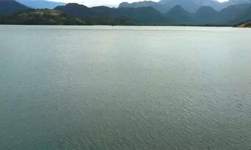 வனப்பகுதியில் மழை இல்லாததால் அமராவதி அணைக்கு நீர்வரத்து குறைந்தது. வனப்பகுதியில் மழை இல்லாததால் அமராவதி அணைக்கு நீர்வரத்து குறைந்தது.